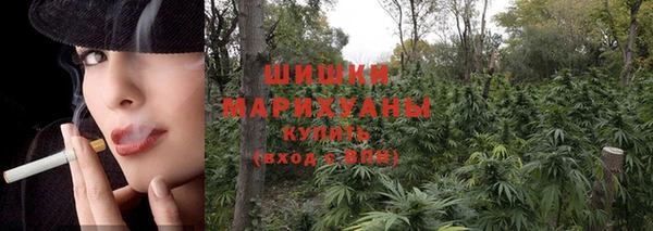 прущий лед Вяземский