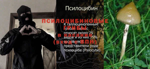 mdpv Волосово