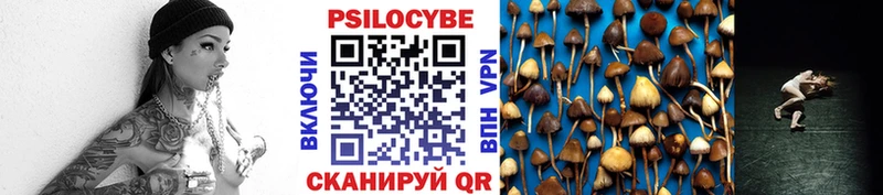 Псилоцибиновые грибы Magic Shrooms  Купить закладки  Кумертау 